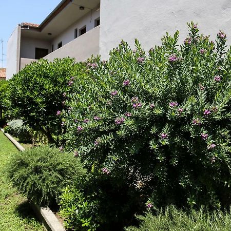 Yannis Apartments Afytos Exterior photo